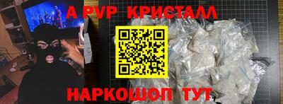 крисы Камышлов
