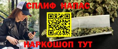 крисы Камышлов
