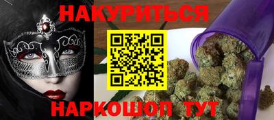 крисы Камышлов