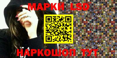 крисы Камышлов