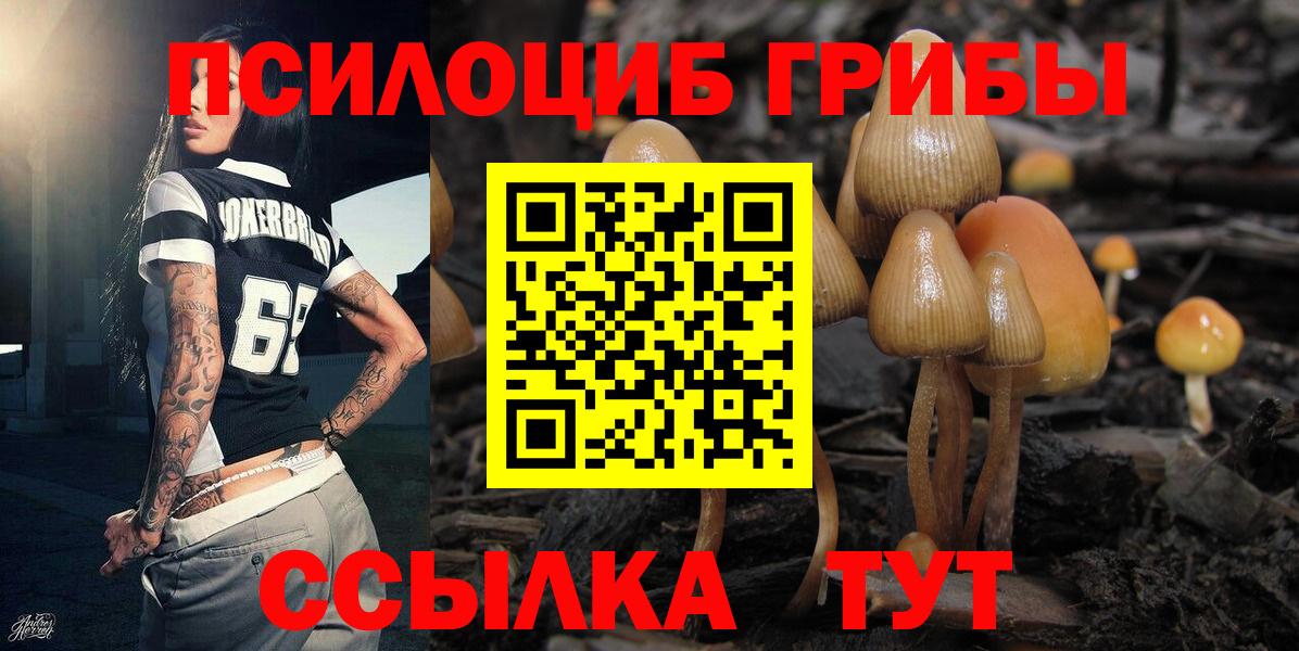 Псилоцибиновые грибы мицелий  Галлюциногенные грибы мухоморы  Вход с VPN  Арсеньев 